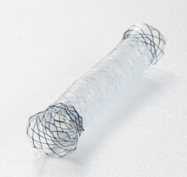 The Niti-S Biliary BUMPY Stent from Taewoong Medical Co., Ltd